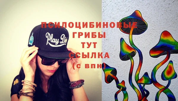 каннабис Алзамай